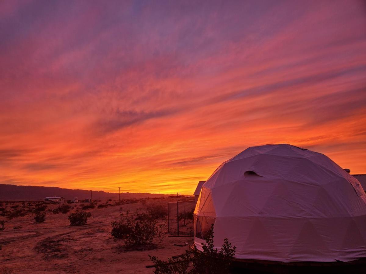 The Kosmic Tortoise Hotel Twentynine Palms Exterior foto